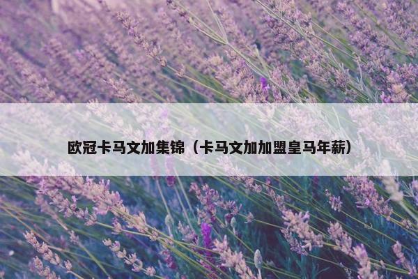 欧冠卡马文加集锦（卡马文加加盟皇马年薪）
