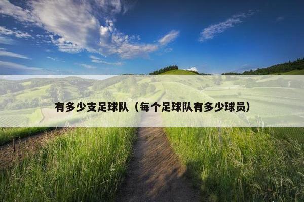 有多少支足球队（每个足球队有多少球员）