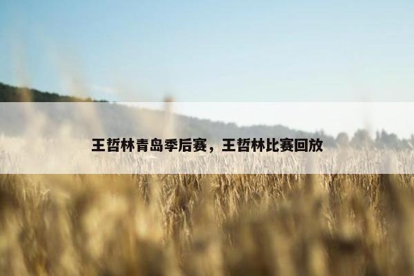 王哲林青岛季后赛，王哲林比赛回放