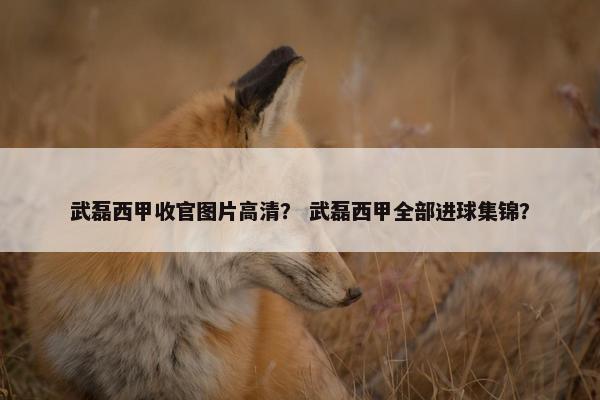 武磊西甲收官图片高清？ 武磊西甲全部进球集锦？