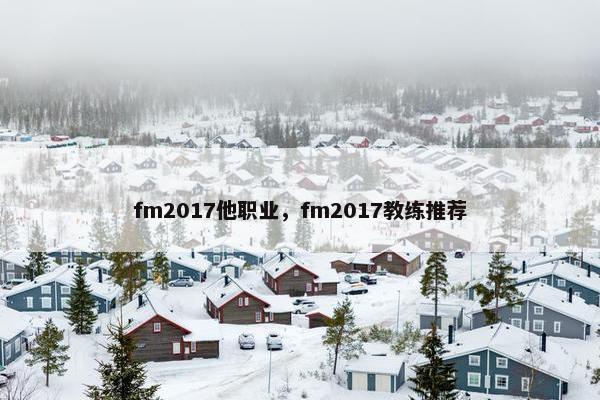 fm2017他职业，fm2017教练推荐