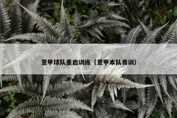 意甲球队重启训练（意甲本队青训）