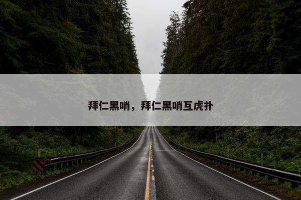 拜仁黑哨，拜仁黑哨互虎扑