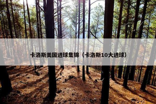 卡洛斯美国进球集锦（卡洛斯10大进球）