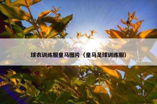球衣训练服皇马图片（皇马足球训练服）