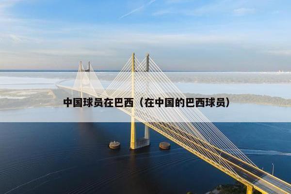 中国球员在巴西（在中国的巴西球员）