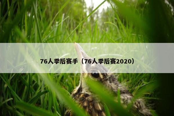 76人季后赛手（76人季后赛2020）