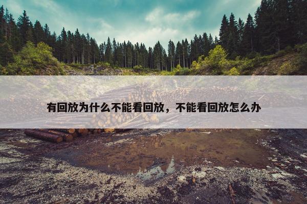 有回放为什么不能看回放，不能看回放怎么办
