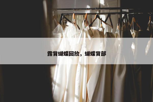 露背蝴蝶回放，蝴蝶背部