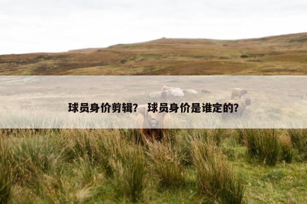 球员身价剪辑？ 球员身价是谁定的？