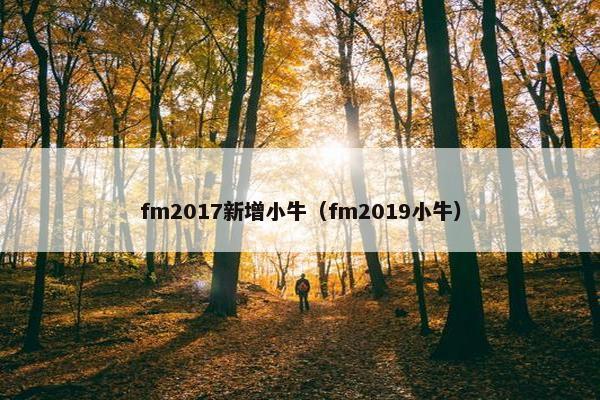 fm2017新增小牛（fm2019小牛）