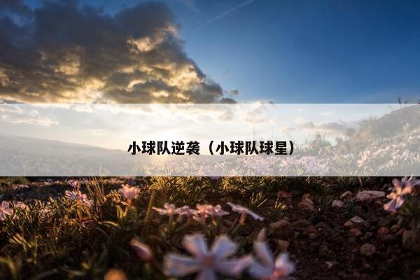 小球队逆袭（小球队球星）