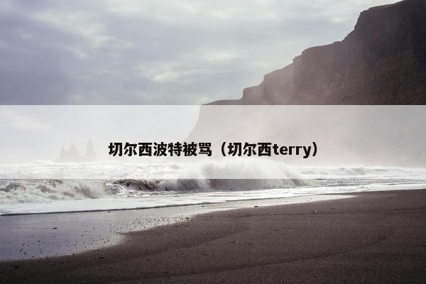 切尔西波特被骂（切尔西terry）