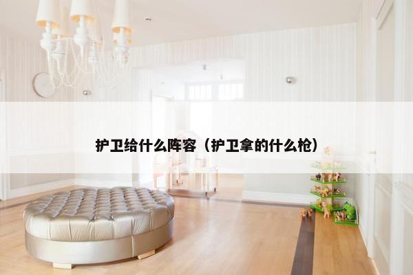 护卫给什么阵容（护卫拿的什么枪）