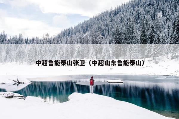 中超鲁能泰山张卫（中超山东鲁能泰山）
