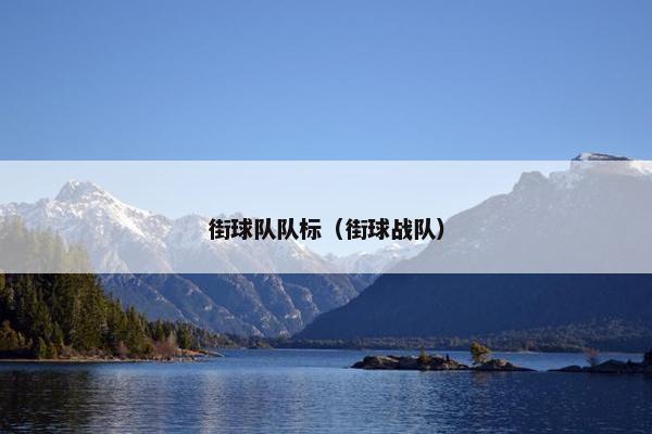 街球队队标（街球战队）