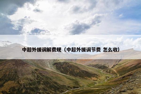 中超外援调解费规（中超外援调节费 怎么收）