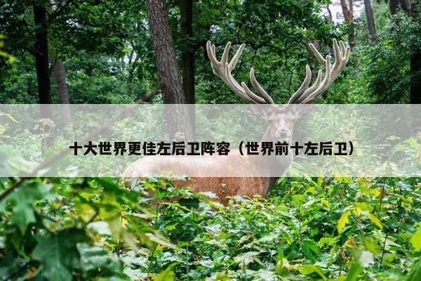 十大世界更佳左后卫阵容（世界前十左后卫）
