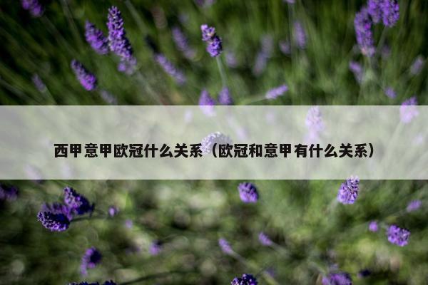 西甲意甲欧冠什么关系（欧冠和意甲有什么关系）