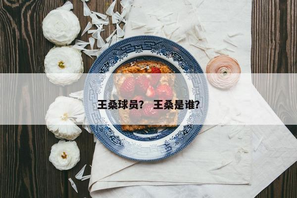 王桑球员？ 王桑是谁？