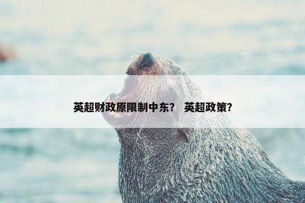 英超财政原限制中东？ 英超政策？
