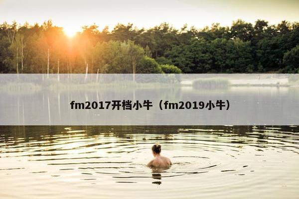 fm2017开档小牛（fm2019小牛）
