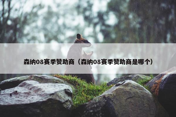 森纳08赛季赞助商（森纳08赛季赞助商是哪个）