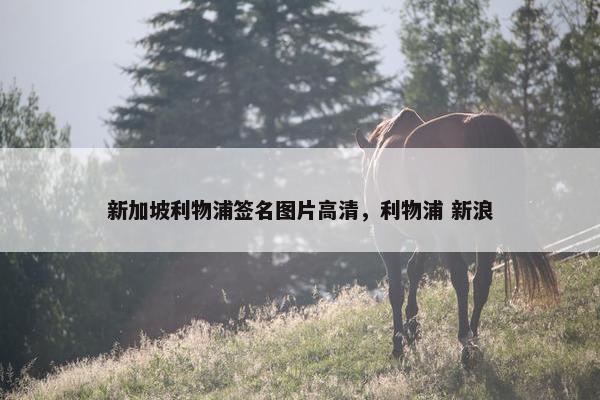 新加坡利物浦签名图片高清，利物浦 新浪