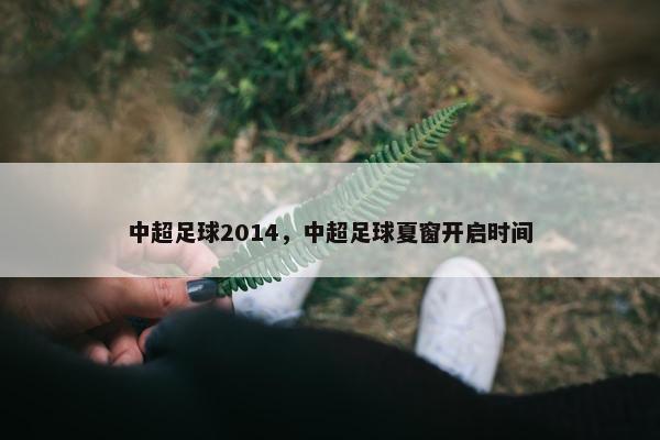 中超足球2014，中超足球夏窗开启时间