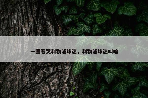 一图看哭利物浦球迷，利物浦球迷叫啥