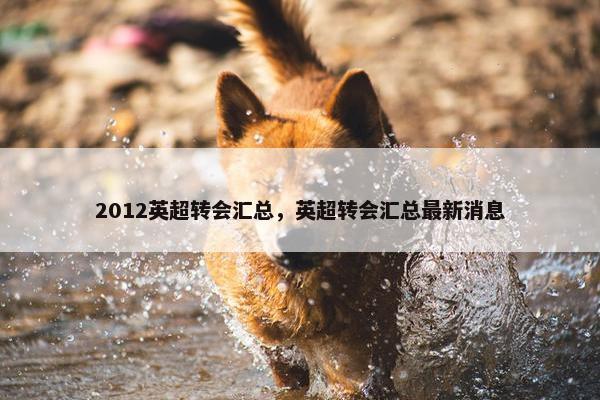 2012英超转会汇总，英超转会汇总最新消息