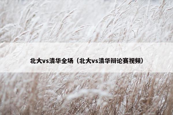 北大vs清华全场（北大vs清华辩论赛视频）