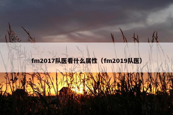 fm2017队医看什么属性（fm2019队医）