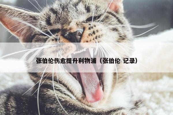 张伯伦伤愈提升利物浦（张伯伦 记录）