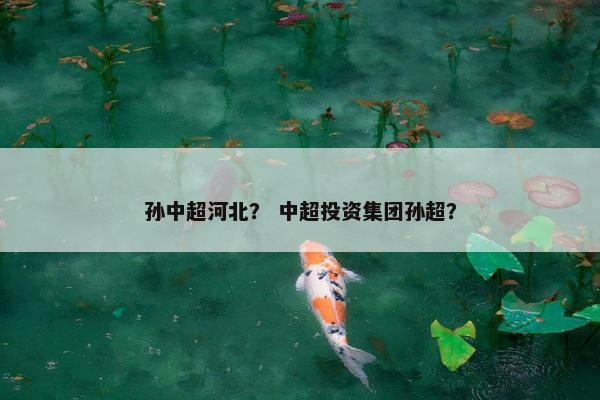 孙中超河北？ 中超投资集团孙超？