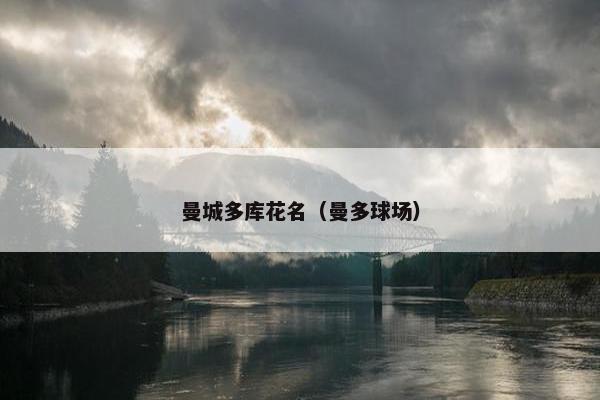 曼城多库花名（曼多球场）