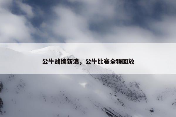 公牛战绩新浪，公牛比赛全程回放