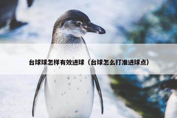 台球球怎样有效进球（台球怎么打准进球点）