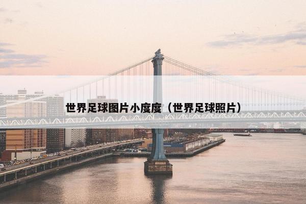 世界足球图片小度度（世界足球照片）
