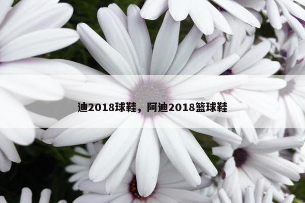 迪2018球鞋，阿迪2018篮球鞋