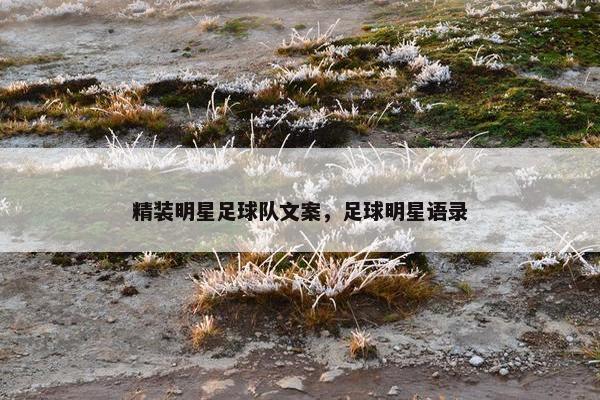 精装明星足球队文案，足球明星语录