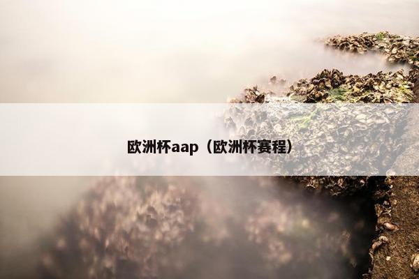 欧洲杯aap（欧洲杯赛程）