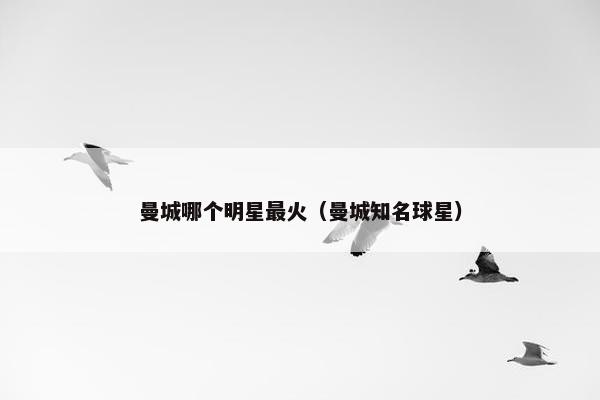 曼城哪个明星最火（曼城知名球星）
