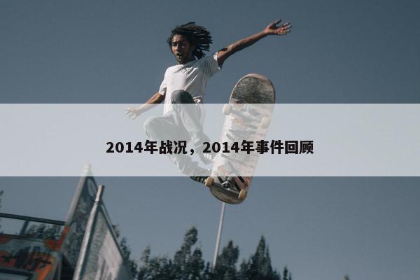 2014年战况，2014年事件回顾