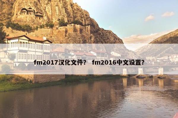 fm2017汉化文件？ fm2016中文设置？