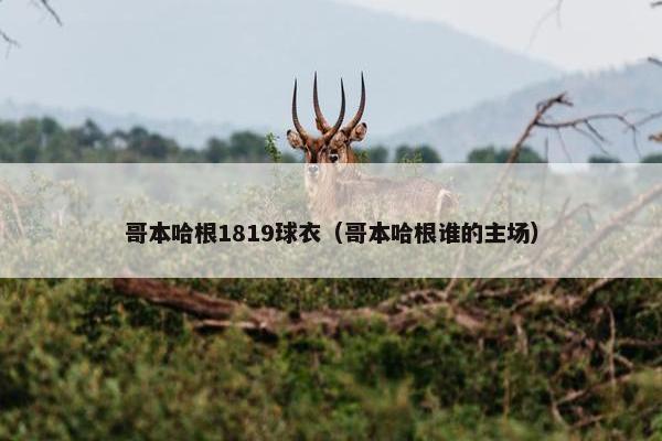 哥本哈根1819球衣（哥本哈根谁的主场）
