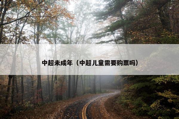 中超未成年（中超儿童需要购票吗）