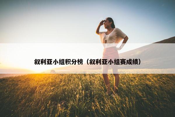叙利亚小组积分榜（叙利亚小组赛成绩）