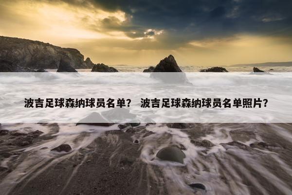 波吉足球森纳球员名单？ 波吉足球森纳球员名单照片？