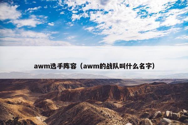 awm选手阵容（awm的战队叫什么名字）